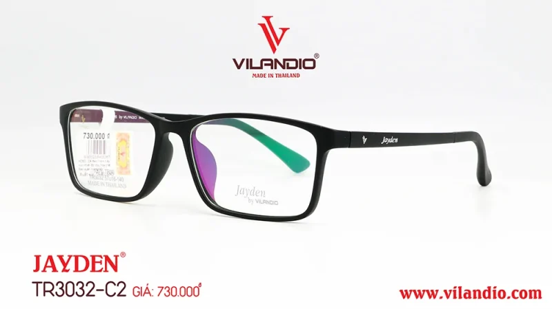 TR3032 C2 DEN MO 2.jpg